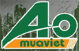 Viet Nam Trading Investment Import Export Joint Stock Company