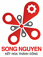 SONG NGUYEN AUTOMATION TECHNOLOGY JOINT STOCK COMPANY