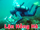 Hong Ha Wrecking - Diving Co., Ltd