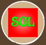 Viet Nam Trading Investment Import Export Joint Stock Company