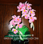 Viet Nam Trading Investment Import Export Joint Stock Company