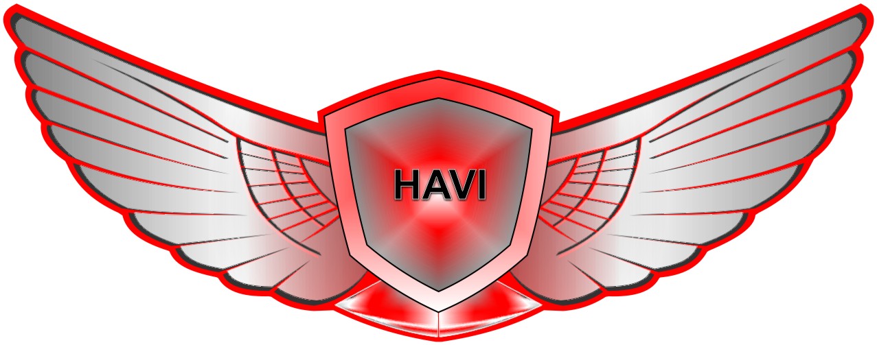 Viet Nam Trading Investment Import Export Joint Stock Company