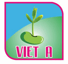 Việt á Seeds - Công Ty TNHH Phát Triển Nông Nghiệp Việt Á