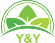 Dụng Cụ Điện Cầm Tay Y&Y - Công Ty TNHH Y&Y Precision And Automation