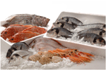 Thực Phẩm Đông Lạnh Kỳ Phong Agro Seafood - Công Ty TNHH Kỳ Phong Agro Seafood