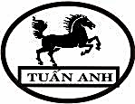 Vải Thun Tuấn Anh - Công Ty TNHH Thương Mại Đầu Tư Phát Triển Tuấn Anh