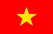 Vietnam Ashlar Stone General Warehoue