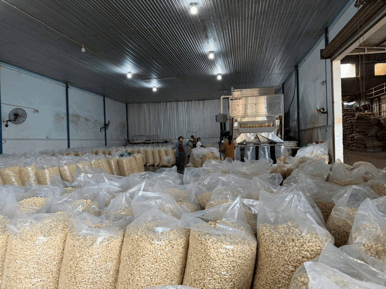 Phi Long Cashew Kernels - Phi Long Production Trading Service Company Limited
