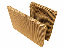 Giấy Tổ Ong Doanh Thuận Phát - Công Ty TNHH Doanh Thuận Phát