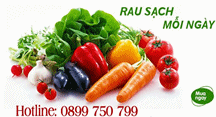 Nông Sản Rau Củ Quả Bình Dương - Công Ty TNHH MTV Cánh Đồng Xanh