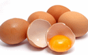 Các tòa nhà chủ yếu kinh doanh và phân phối trứng gà (HS)