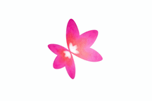 Vải Vy Hương - Cửa Hàng Vải Vy Hương