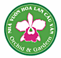 Vườn Lan Quý Phú Lâm - Công Ty TNHH MTV Quý Phú Lâm
