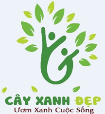 Những Trang Vàng - Cây Xanh Đẹp - Công Ty TNHH Một Thành Viên Cây Xanh Đẹp