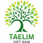 Hạt Nhựa Tái Sinh Taelim Việt Nam - Công Ty TNHH XNK Và SX Taelim Việt Nam