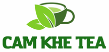Cẩm Khê Tea - Công Ty TNHH Chè Cẩm Khê