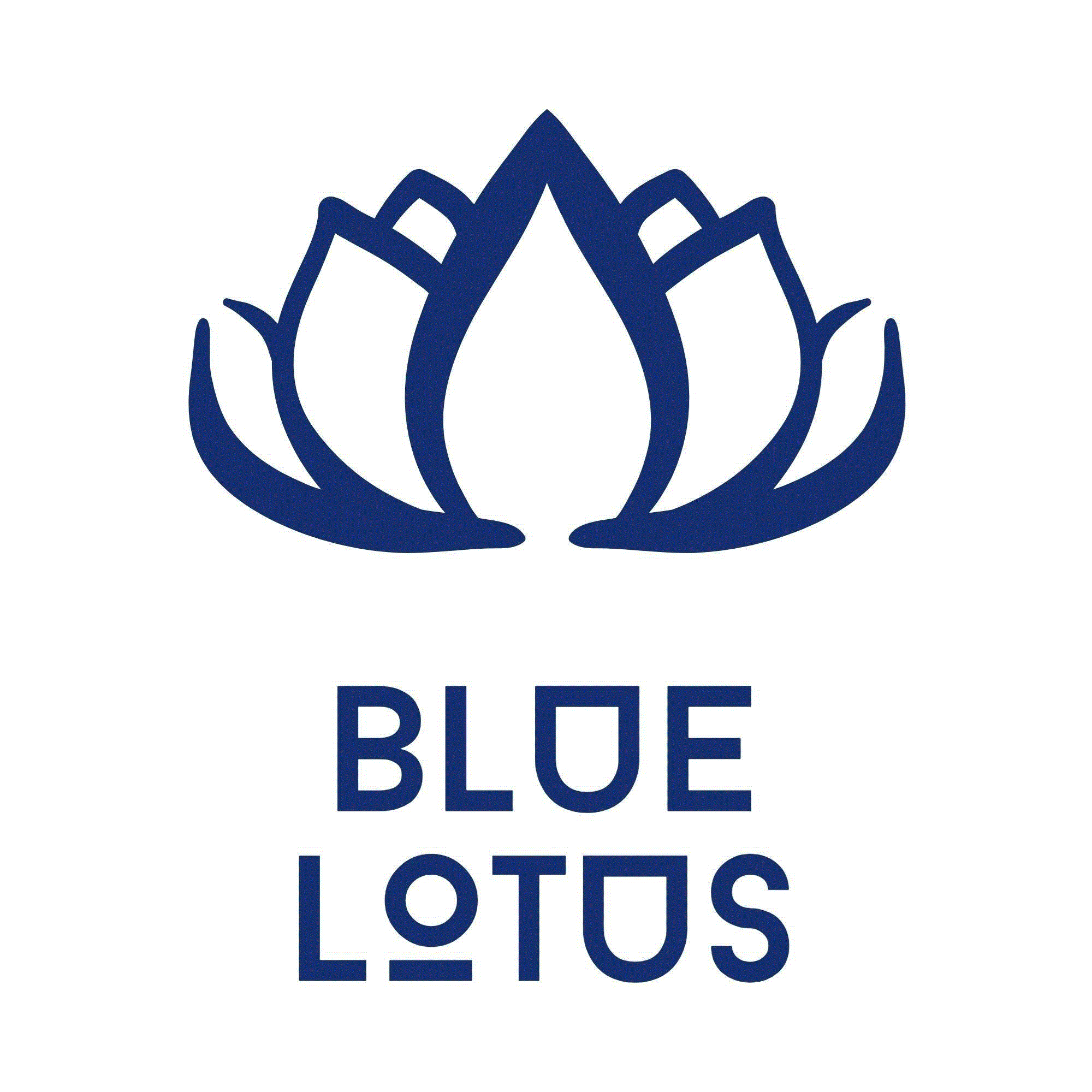Blue Lotus Dried Fruits - Blue Lotus Export Import Company Limited