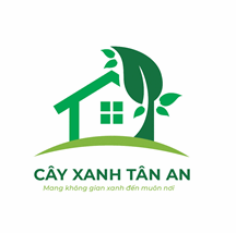 Những Trang Vàng - Cây Xanh Tân An - Công Ty TNHH TM Đầu Tư Và Xây Dựng Tân An