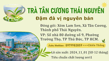 Trà Tân Cương Thái Nguyên - Danh Trà Phát Đạt