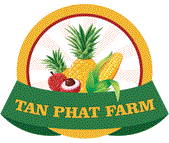 Tan Phat Canned Fruits And Vegetables - Tan Phat Agricultural Products Export Company Limited