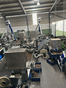 Song Hao Food Processing Machine - Song Hao Cashew Splitting Machine Company