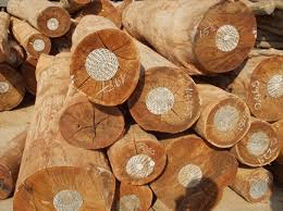 Gỗ Ngọc Châu - Công Ty TNHH Sản Xuất Thương Mại Gỗ Ngọc Châu