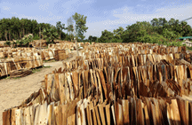 Những Trang Vàng - Ván ép Huy Sơn Thịnh - Công Ty TNHH Huy Sơn Thịnh