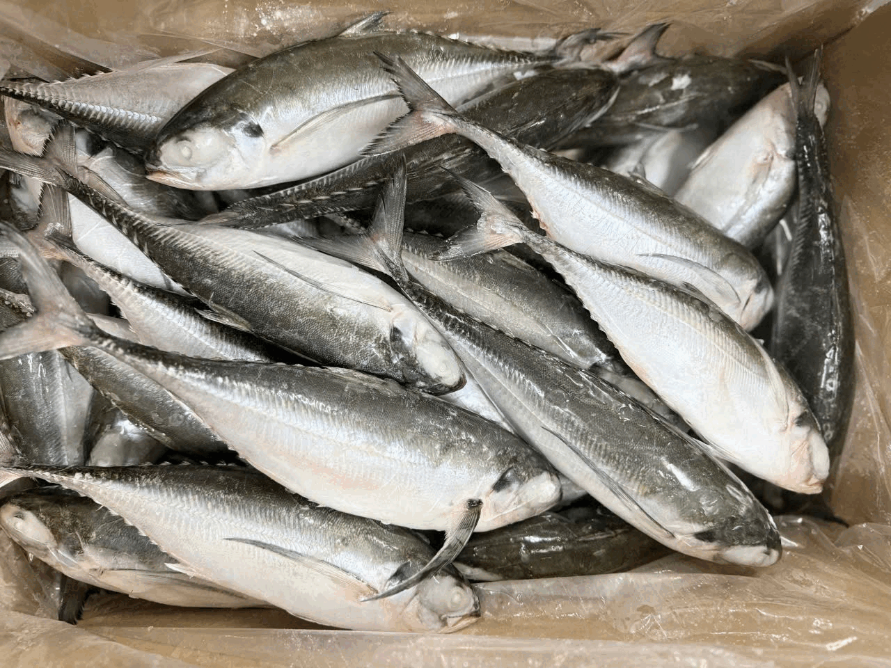 Huy Phat Seafood - Huy Phat Co., Ltd