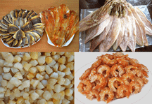Nhat Nam Fine Food - Nhat Nam Fine Food Company Limited