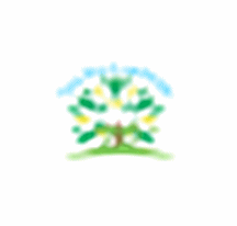 Thiết Kế Thi Công Cảnh Quan Tiến Đạt - Công Ty TNHH Cảnh Quan Tiến Đạt