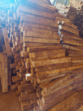 Gỗ Cao Su An Phát Thịnh - Công Ty TNHH Phát Triển Thương Mại An Phát Thịnh
