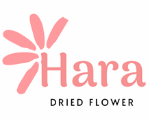 Hoa Khô Hara - Công Ty TNHH Kinh Doanh Thương Mại Hara