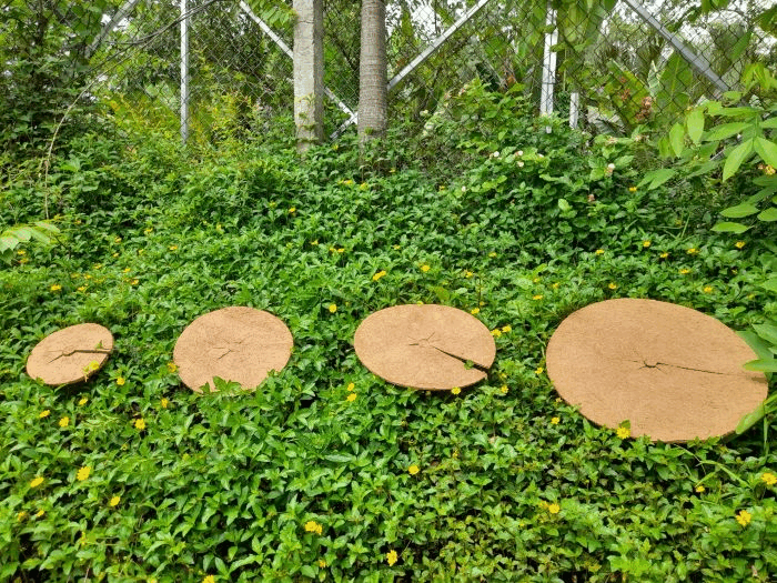 Tien Thanh Coconut Fiber Products - Tien Thanh Coco Pole Joint Stock Company