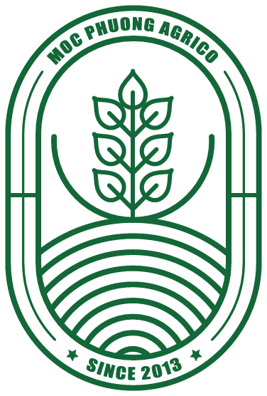 Moc Phuong Agricultural Products Import-Export and Processing Co., Ltd