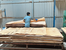 Những Trang Vàng - Ván ép Tín Phúc Phát - Công Ty TNHH Ván ép Tín Phúc Phát