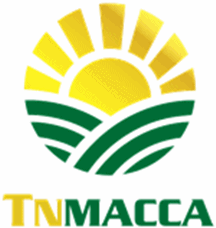 Nong San Tay Nguyen Pepper - Nong San Tay Nguyen Joint Stock Company