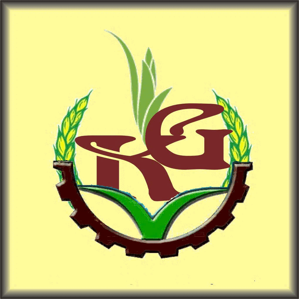 Kien Giang Fresh Vegetables - Kien Giang Seeds - Agricultural Product Exports Joint Stock Company