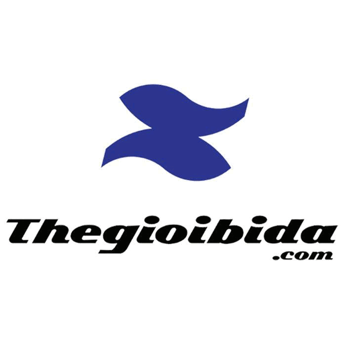 Dụng Cụ Bida Thế Giới BIDA - Công Ty TNHH Kinh Doanh Thương Mại Thế Giới BIDA