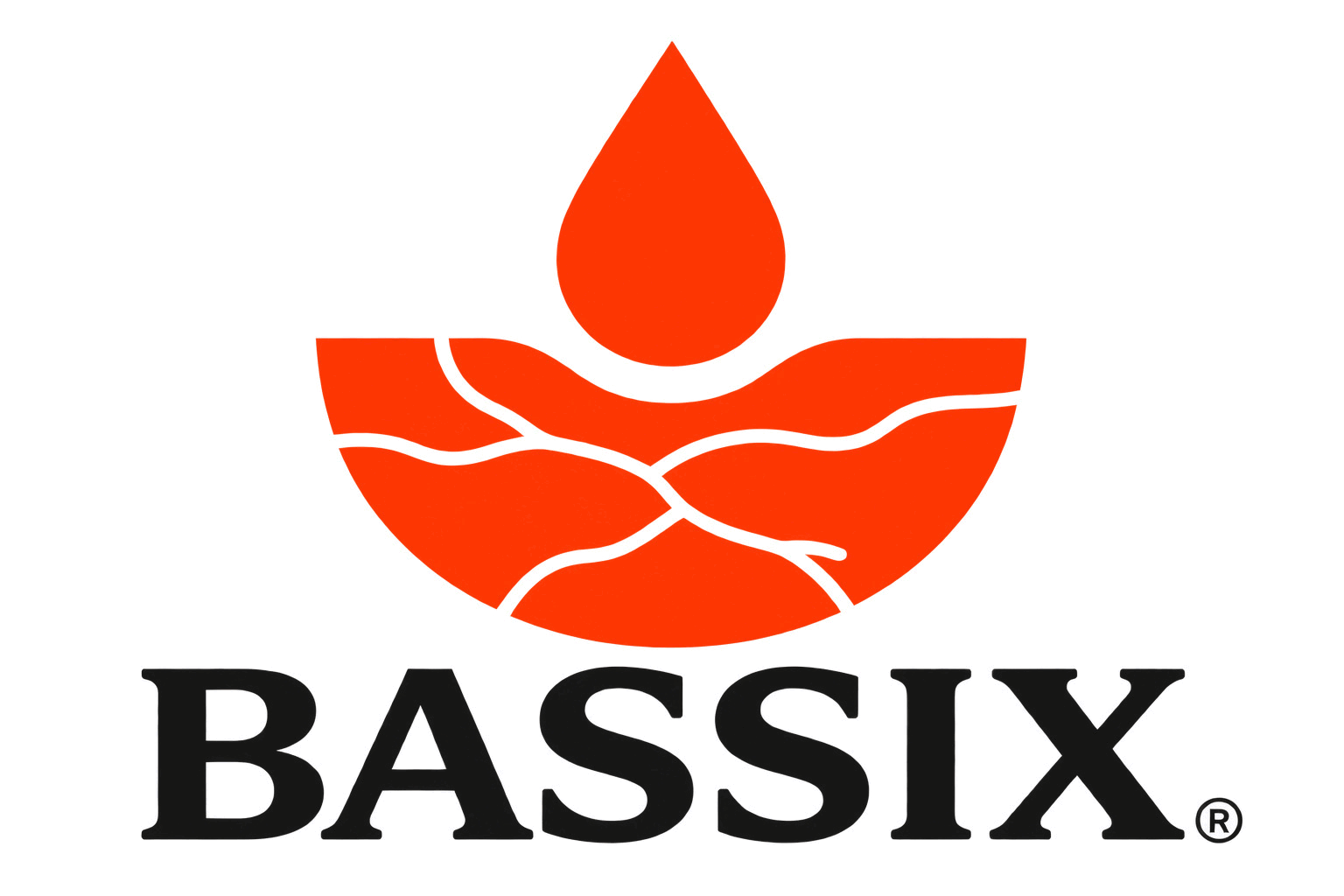 Mảnh Nhựa PET Bassix - Công Ty TNHH Bassix